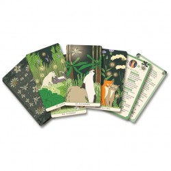The Witch's Oracles Boxed Set