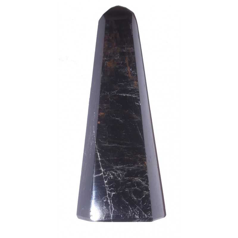Pointe Tourmaline et Hématite 386 Grammes Pointe Tourmaline et Hématite 386 Grammes