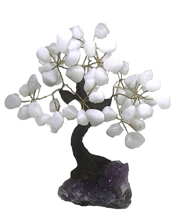 Tree of Life White Quartz Stones