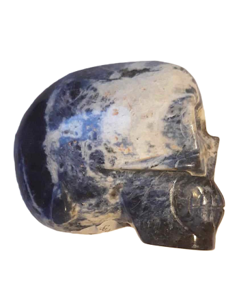 Crâne sculpté Sodalite Naturelle de 400 Grammes chez Mandala