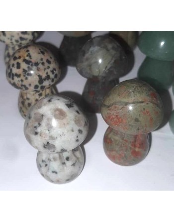 Natural Stone Mushrooms of your choice