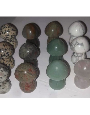 Natural Stone Mushrooms of your choice