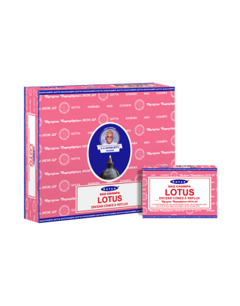 Cônes Backflow Encens Satya Parfums au choix chez Mandala