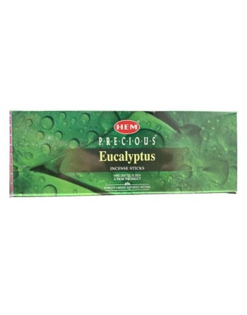 HEM Eukalyptus Weihrauch 20G