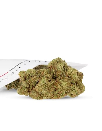 Fleurs CBD Lifter US HYDRO