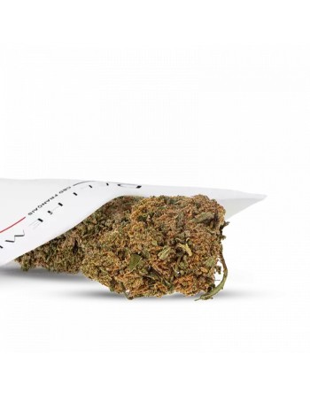 Fleurs CBD SKUNK