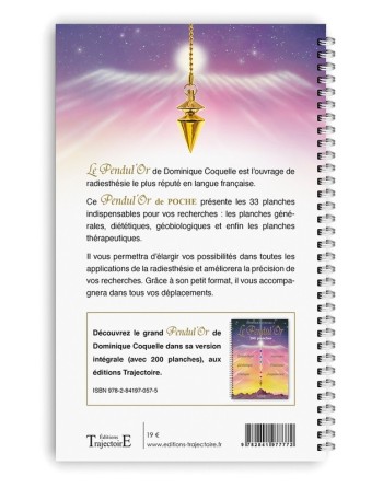 Das goldene Taschenpendel: Buch mit 33 Tafeln